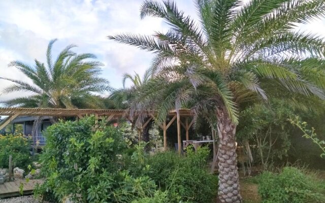 Red Palm Village