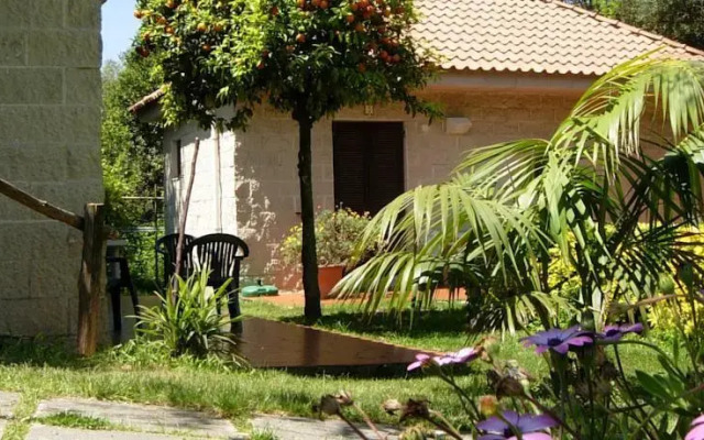 Bluegreen Village