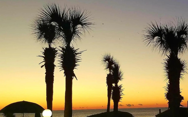 Palms Resort
