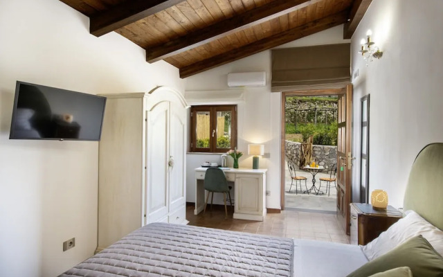 IL vigneto di nonno Pietro