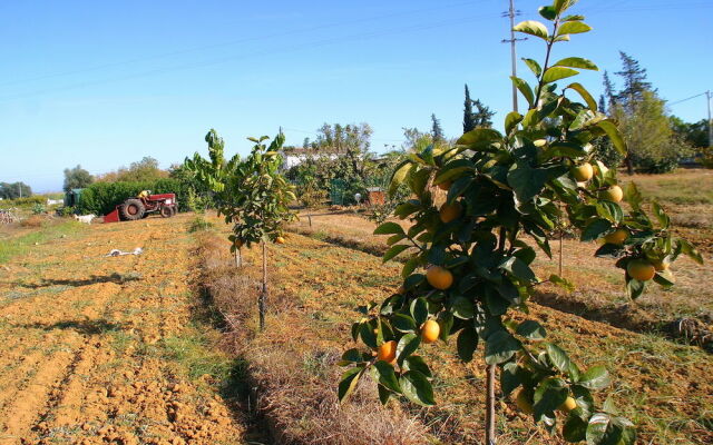 Quintinha da Foz Guest House