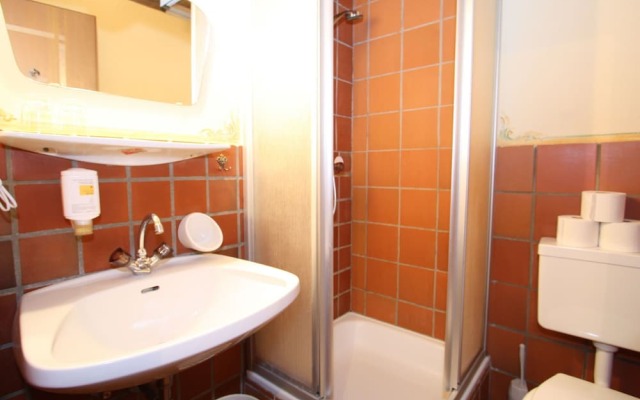 Warm Apartment in Ramsau am Dachstein With Garden