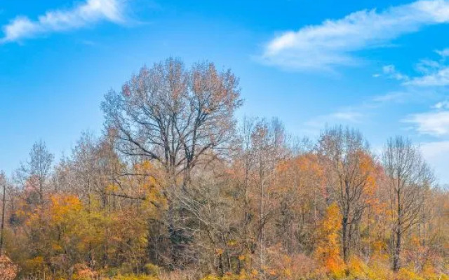 Wanfeng Village Homestay (North High-speed Railway Station)