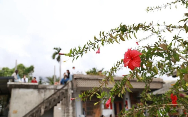 Pequeñas flores rojas - Dulan