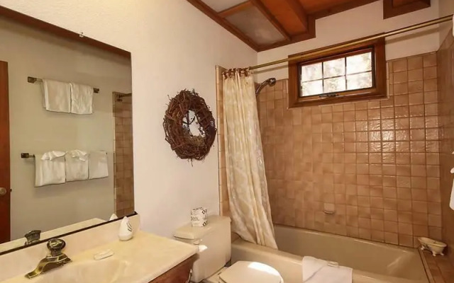 Cozy Bear Lair by Big Bear VR