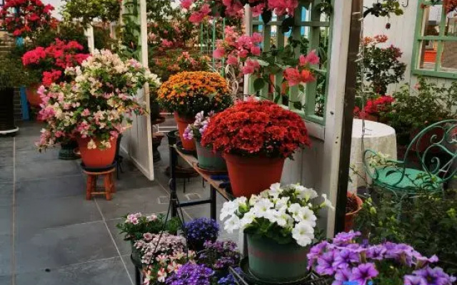Foshan Wujia Elegant Garden (Xingtan Fengjianshuixiang Shop)