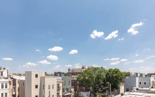 Trendy Fairmount Gem Roof Deck
