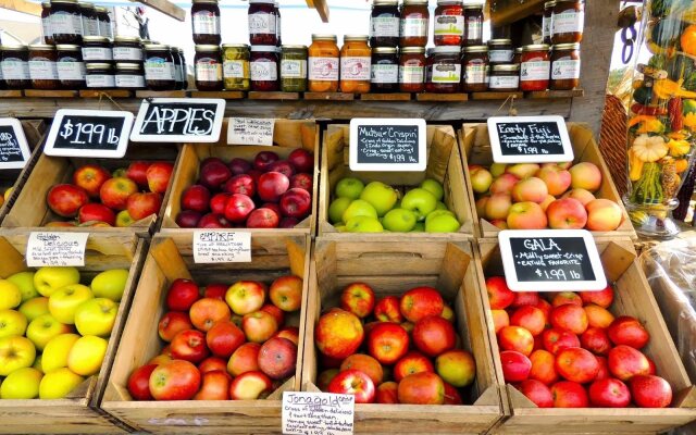 Burnside Organic Farm