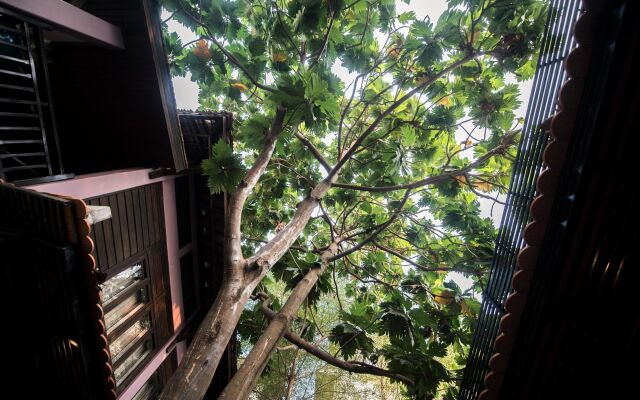 Lavender Angkor Boutique