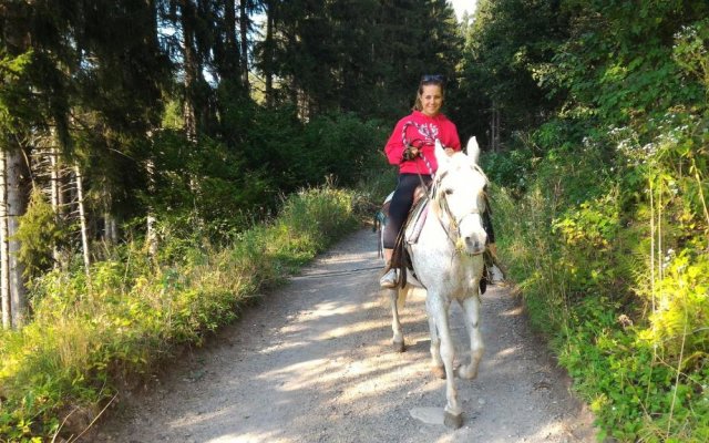 Il Cardo Trentino