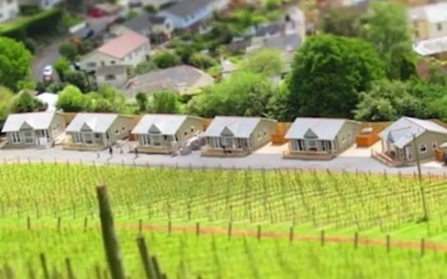 Old Walls Vineyard