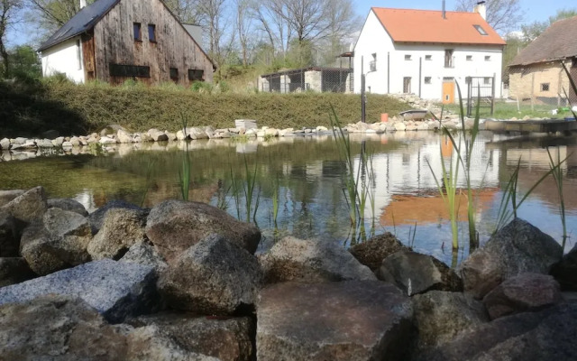 Villa in Prague With Jacuzzi