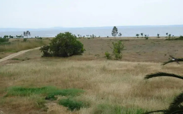 Giota House