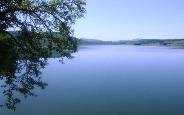 Sunflower Villa in Tutrakantsi