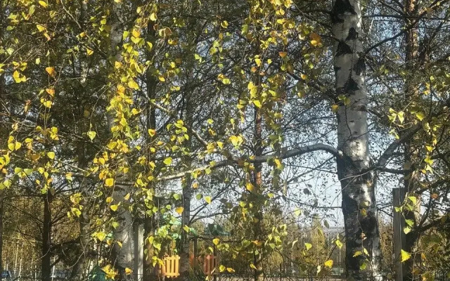Shukolovo