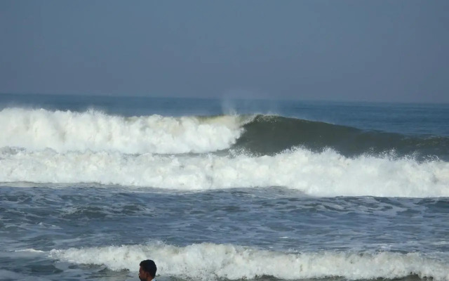 Gumnut Beach House Homestay