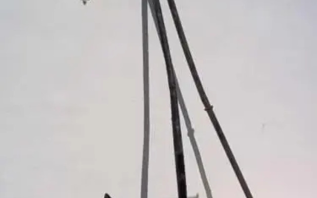 Bikkia