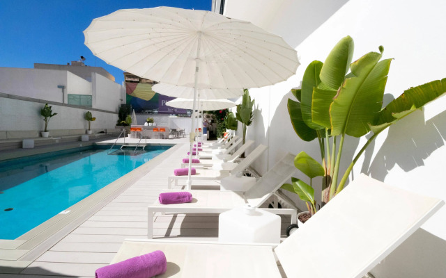 The Purple by Ibiza Feeling
