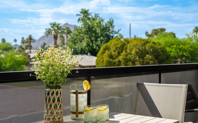 NEW Desert Standard Modern 3-level Oasis