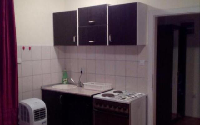 Apartment Viktor 2 stan na dan