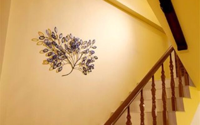Starburst B&B