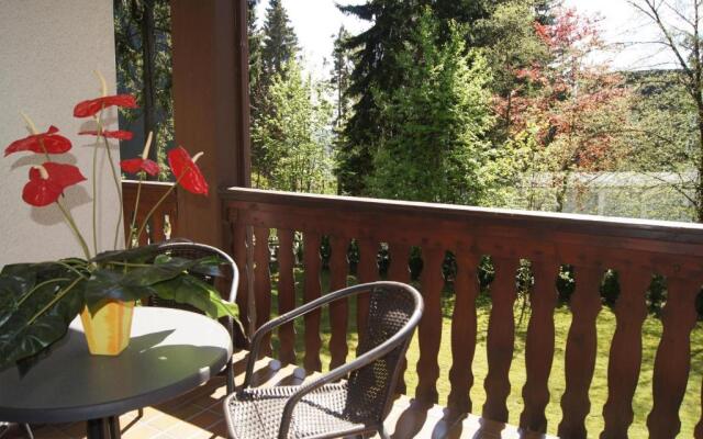 Winterberg Appartement 21056