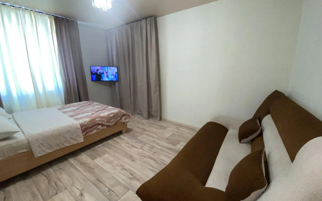 Желтый Нарцисс на улице Войкова