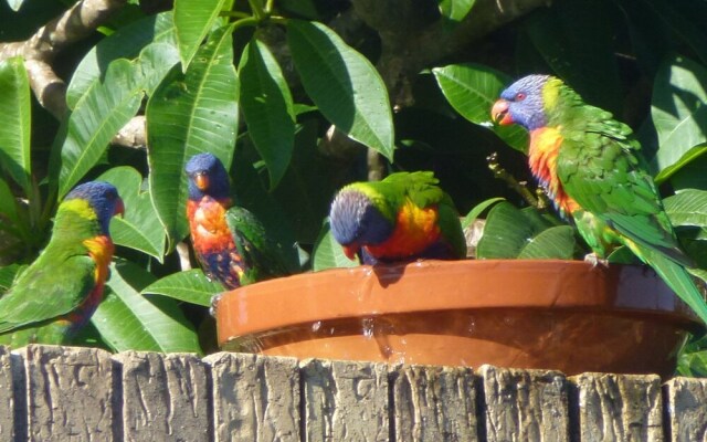 Thurlow Avenue 28, 'Ripple Cove'