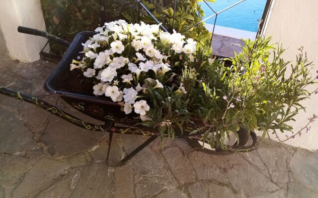 Ziggy's Mountain Retreat