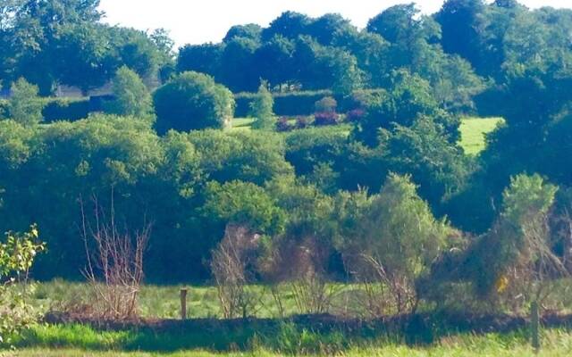 Green Tree Glamping