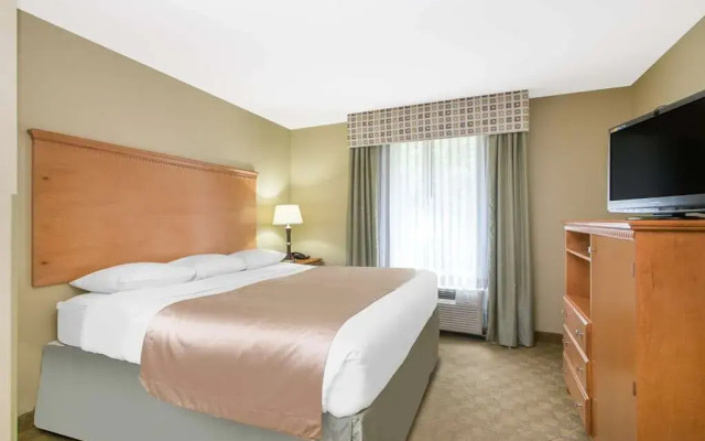 Super 8 Savannah