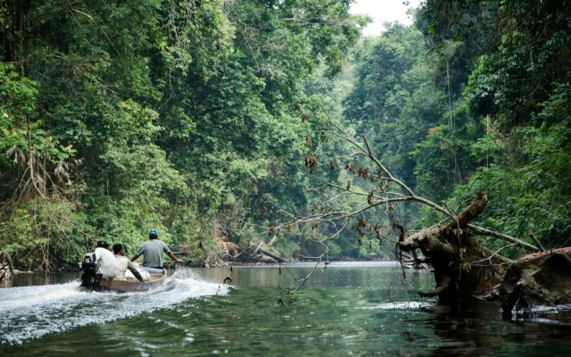Mutiara Taman Negara