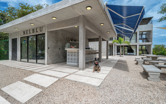 Nelblu Flamingo Suites
