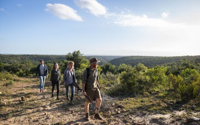 Stargazer Camp - Bellevue Forest Reserve