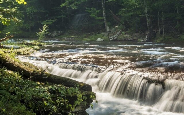 Tentrr - Purling Waters at Tumblin' Falls - Campsite