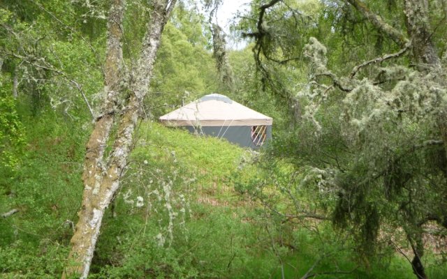 Aspen Yurt - Campsite