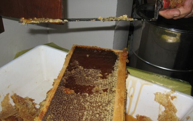 Agriturismo La Rovere