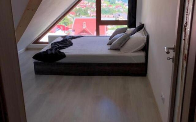 Apartament Andy Busteni 30 m de partie