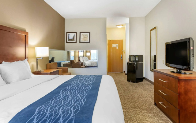 Comfort Inn Downtown - University Area