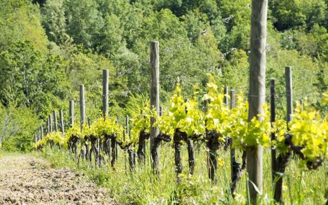 Agriturismo Il Serraglio