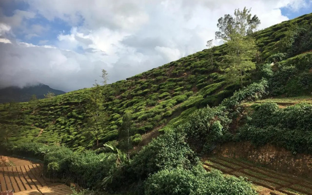 Jayamasa Homestay