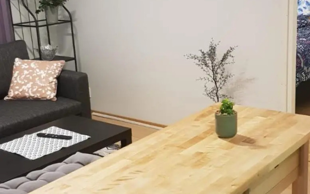 Apartment in City - Antinkatu