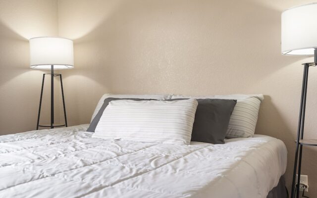 Lounging on the Lane