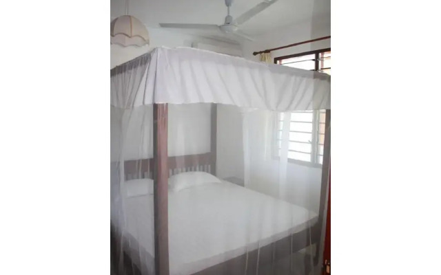 Morning Star Diani