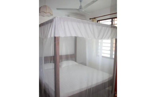 Morning Star Diani