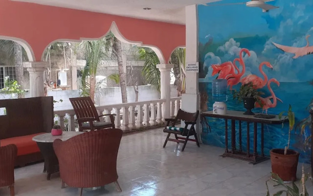 Flamingo Guest House Celestún