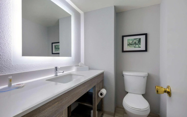 Comfort Inn & Suites Alexandria West