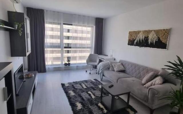 Lovely 1 bedroom livingroom apartment Sector 1 Bucuresti