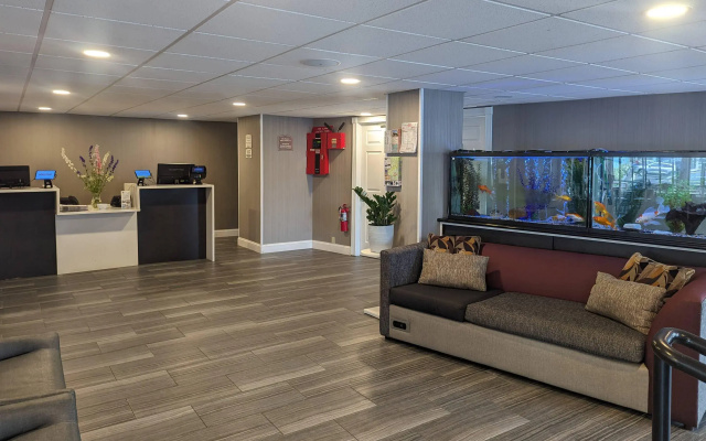 Quality Inn & Suites Northampton - Amherst