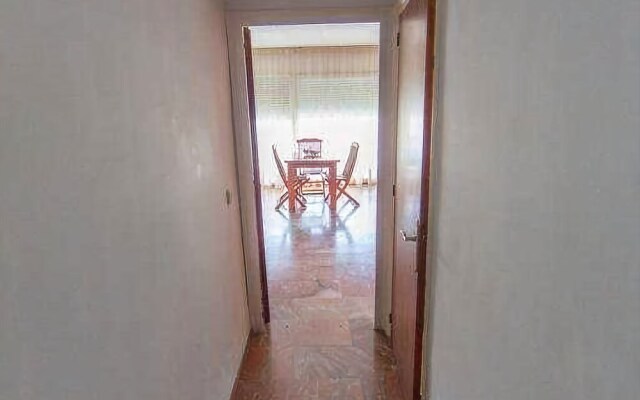 Palmeras 5.2